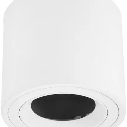 Scatola AP LUDOSPOT 111 ROUND, Ø165mm, bianco 