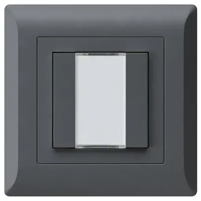 Tasto INC kallysto.line KNX 2×s/e-link antracite 