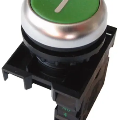 Pulsante INS ETN 1Ch verde 