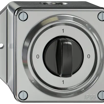 Interruttore rotativo AP ELEMENT SNAPFIX® 2×1P 16A 400V 0-1-0-1 all 