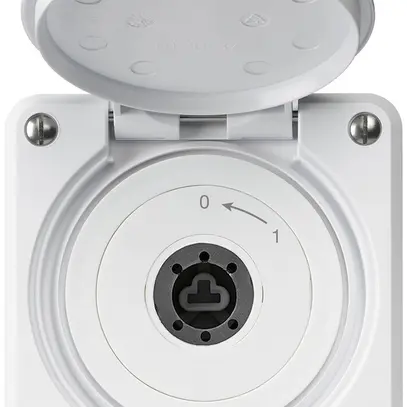 Contact pivotant à clé ENC robusto IP55 blanc avec clapet sans cylindre 1P combi 