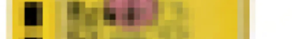 Interruttore di sicurezza per l’arresto di emergenza, dispositivo di sorveglianza della porta di protezione 