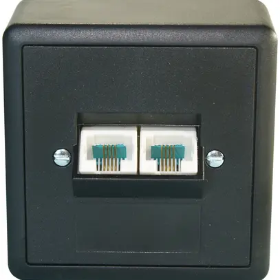 Presa AP 2×RJ45/u 4P sep. EDIZIOdue nero ITplus 