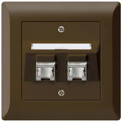 Prise ENC kallysto.line C cat.6 2RJ45/s brun 