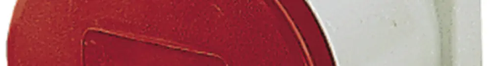 Presa INS CEE 32A 5P 6h 400V rosso, Mennekes 