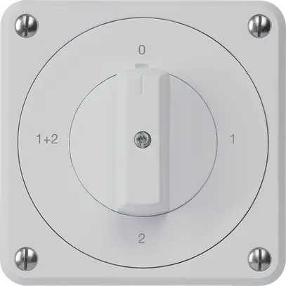 Interruttore rotativo INC robusto IP55 S1/1P grigio per combinazione 