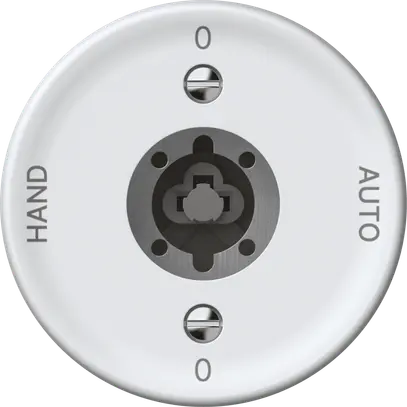 Interruttore a chiave origin commutatore 2/1L 16A 250V 0-AUTO-0-HAND 60×60mm bi 