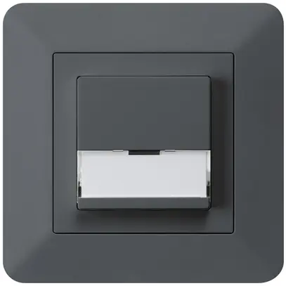 Poussoir de sonnerie ENC avec porte-étiquette A/1L kallysto.trend anthracite 