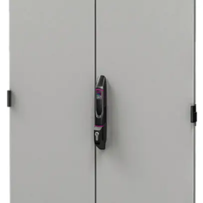 Porte Rittal DK 5301.612 800×2000mm pour VX IT fermé gris IP20 