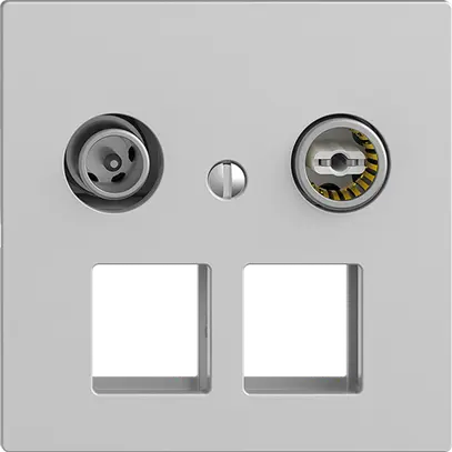 Prise multimédia 19dB Edue F, prise de passage, pour 2×RJ45 Keystone, gris clair 