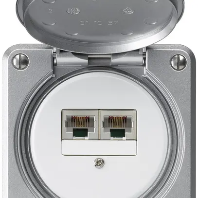 UP-Anschlussdose robusto IP55 aluminium 2×RJ45/s UKV getrennt 