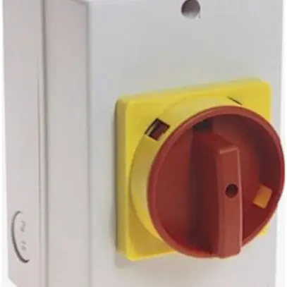 Interruttore rotativo AP AB 194E-Y32M-1756-6N, 32A 0/6L (0-1), manopola ro/gi 