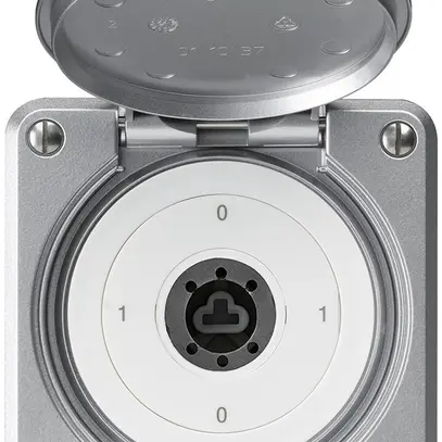 Interruttore a chiave INC robusto IP55 copertura senza cilindro S0/2P alluminio 