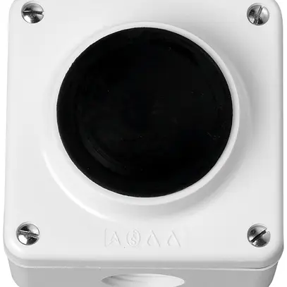 Tasto a pulsante AP Electro-Mica 1S 10A/250VAC IP54 bianco 