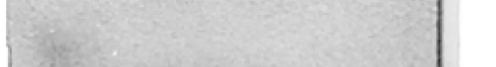 Staubschutzklappe H-LINE M, für Anschlussmodul, weiss, 10 Stück 