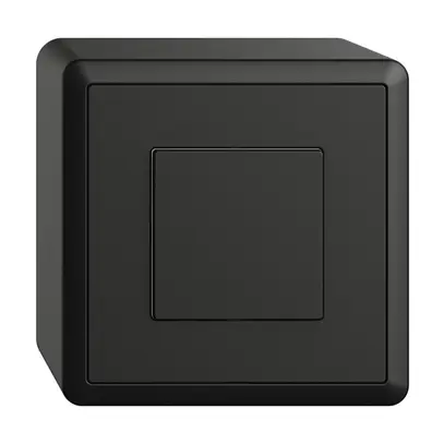 Interruttore AP 1K/1T WLAN Edue Wiser nero 