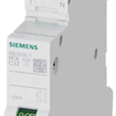 Disgiuntore Siemens SENTRON 5SL6 2P 230V C 32A 6kA 1UM 