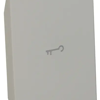Coperchio tasto Living Now per pulsanti MyHOME 2 moduli c.simbolo chiave bianco 