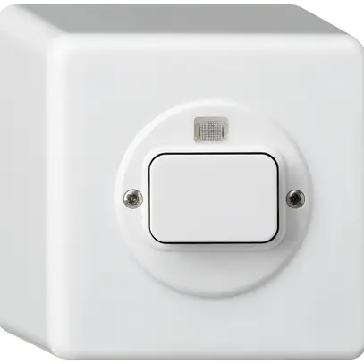 Interrupteur lumineux oekoswitch AP contrôle 1…60min basico blanc 