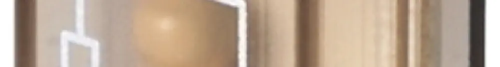 Filtro RC WM RIM-I 3 6/60VAC RC resistenza di dispersione 