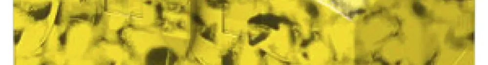 Blocco di distribuzione PX PTFIX 10/6X4-FE 