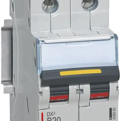 Disjoncteur Legrand B 2P 13A 10000A/16kA 
