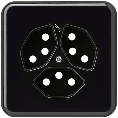 Plaque de recouvrement grd.I 3×type 13/1 noir basico 