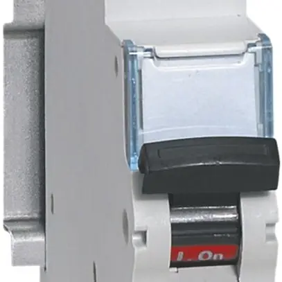 Disgiuntore Legrand C 1PN 13A 6000A/10kA 