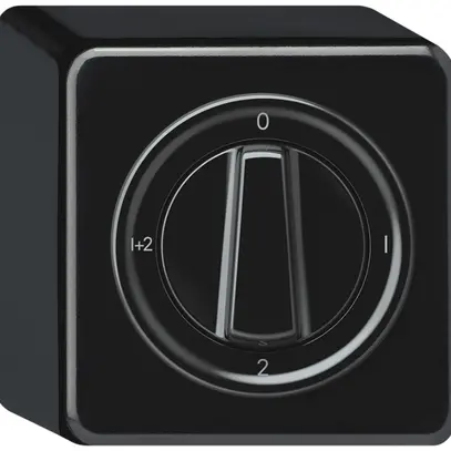 Interruttore rotativo AP origin comm.serie 1/1L 16A 250V 0-1-2-1+2 88×88×54mm ne 