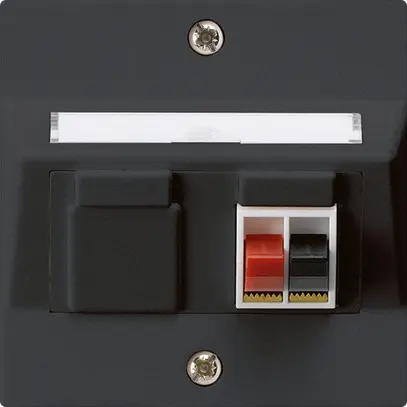 Prise ENC audio kallysto 1×noir borne à étrier pour 1 haut-parleur 