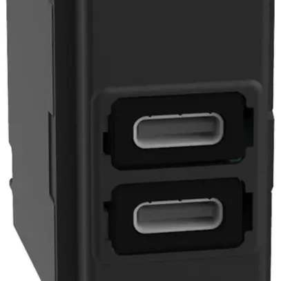 Prise de charge USB INC Legrand Living Now 1 module 2×USB-C 3000mA 5V noir 