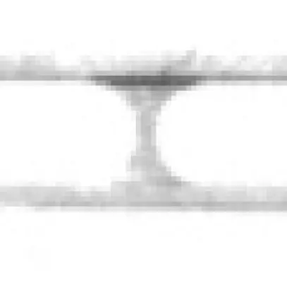 Introduzione per fili Weber ABT-BM 2 aperture 