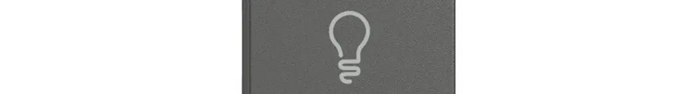 Taste 1/2 EDIZIO.liv Wiser mit SNAPFIX® horiz.mit Symbol Licht dgu 