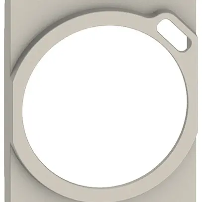 Copertura Living Now 2 moduli per presa Schuko con USB sand 