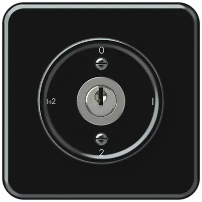 UP-Schlüsselschalter origin Serienschalter 1/1L 16A 250V 0-1-2-1+2 92×92mm sz 