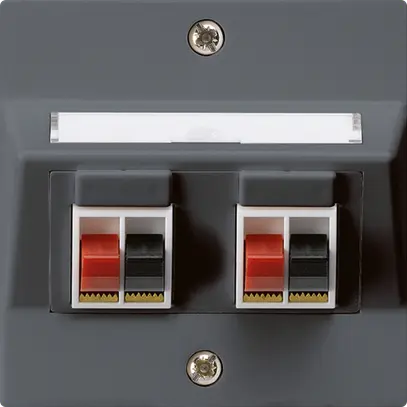 Presa INC audio kallysto 2 volte antracite morsetto per 2 altoparlante 