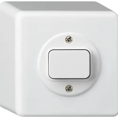 Interrupteur temporisé AP babyswitch basico blanc, 20…300VA 