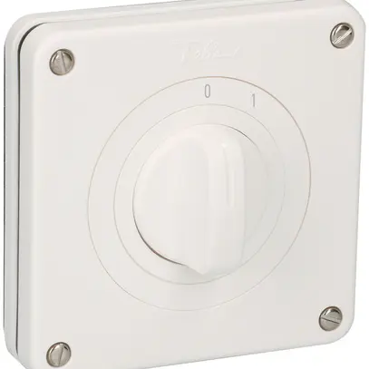 Commutatore INC con ritorno NEVO, 20A, 1P, 87×87mm, 1×30°, 0-1, bianco 
