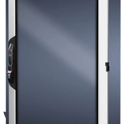 Porte Rittal VX 5301.423 800×2000mm pour VX IT porte à regard aluminium IP55 
