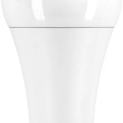 Lampada LED ToLEDo AGL A67 E27 20W 240V 2550lm 6500K 