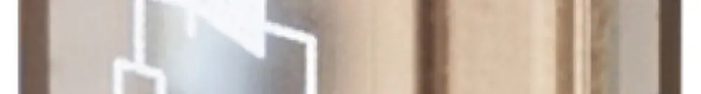 Filtro RC WM RIM-I 2 24/60VDC resistenza di dispersione 