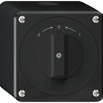 AP-Schwenktaster robusto IP55 schwarz Wechsler 