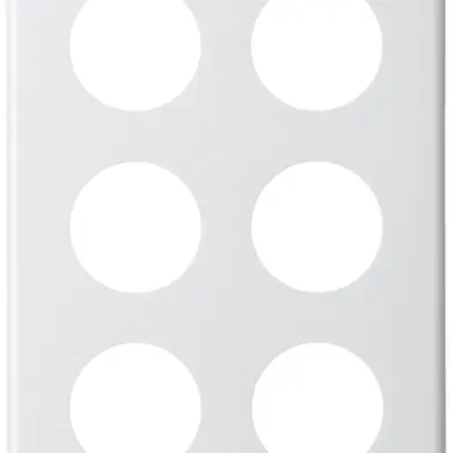 Plaque de recouvrement basico 3×2 6×43mm blanc 