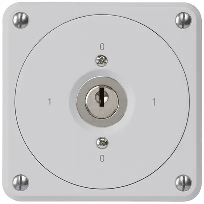 Interruttore a chiave INC robusto senza copertura 0/1P grigio per combinazione 