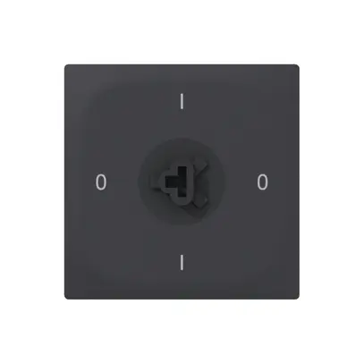 UP-Drehschalter SIDUS E 0/2L SS anthrazit 