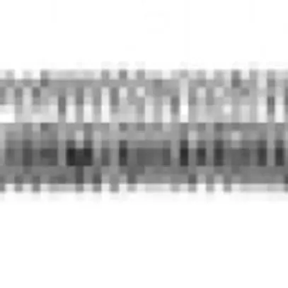 Barra filettata Ammer con bullone M3×66mm 