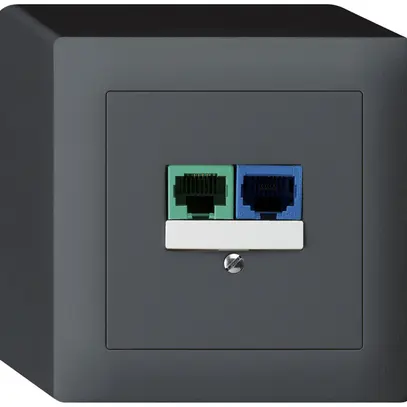 AP-Dose DSL kallysto 2×RJ45 anthrazit 