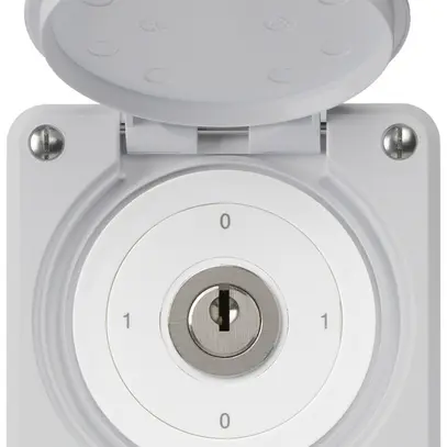 Interruttore a chiave INC robusto IP55 con copertura S0/1P grigio combinazione 