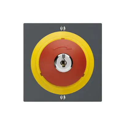 Contact pivotant à clé kallysto ARRÊT D'URGENCE anthracite 