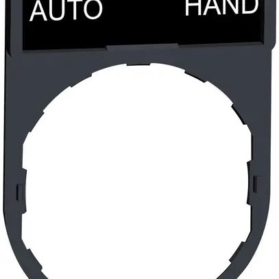 Placchetta Schneider Electric Auto-Hand 